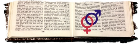 Bible and Sexuality