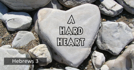 A Hard Heart
