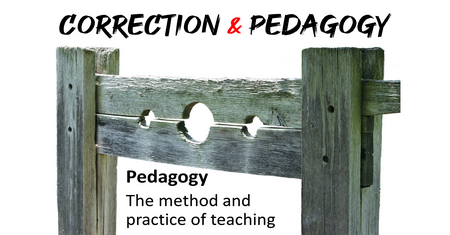 Correction and Pedagogy