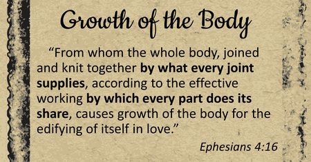 Growth of the Body