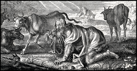 Nebuchadnezzar beast2