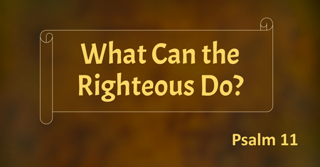 What Can the Righteous Do