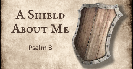 A Shield About Me